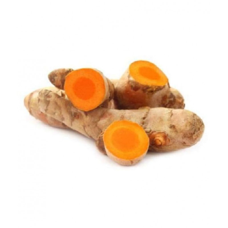 RootBloom Fresh Raw Turmeric Kachi Haldi Rhizomes Raw Herbs 400 gm Pack Of 1