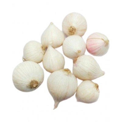 RootBloom single Clove Garlic Ek Putia Lehsun Raw Herbs 250 gm Pack Of 1