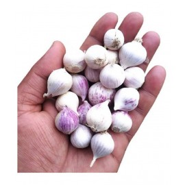 RootBloom single Clove Garlic Ek Putia Lehsun Raw Herbs 250 gm Pack Of 1