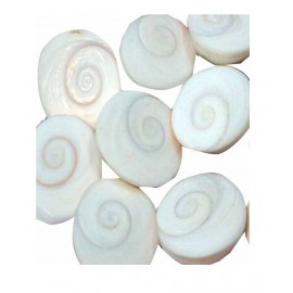 Royal Navy White Gomti Chakra - 11 pcs