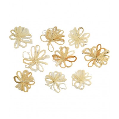 Rudra Centre - Cotton Jyot ( Pack of 1 )