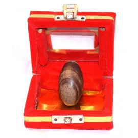 Rudra Divine  Natural Stone Lord Shiva Narmada Shivling (3x2x1cm, Brown)