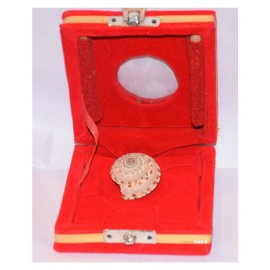 Rudra Divine Gomti Chakra 100% Natural | Vishnu Chakra | Religious Item | Shell for Vastu dosh and to attract wealth || Dimension: 3 x 1 cm