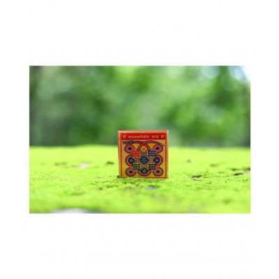 Rudra Divine KALSARP YOG YANTRA KAAL SARP YOG YANTRA DECREASE INFLUENCE OF KAL SARP YOG
