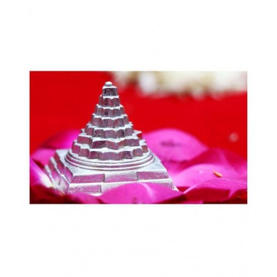 Rudra Divine Parad shree yantra / Mercury Shri Yantra / Para Sri Yantra 25 gram / 100% Guaranty of Originality