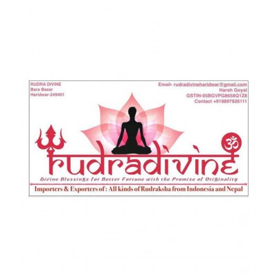 Rudra Divine Parad shree yantra / Mercury Shri Yantra / Para Sri Yantra 25 gram / 100% Guaranty of Originality