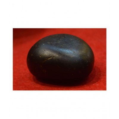 Rudra Divine Shaligram Shala Sarvottam Laxmi Narayan Natural 3x3 inch