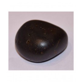 Rudra Divine Shaligram Shala Sarvottam Laxmi Narayan Natural 3x3 inch