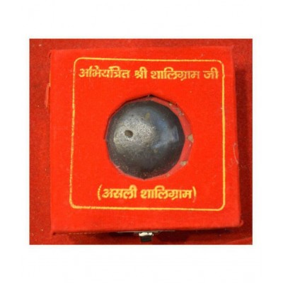 Rudra Divine Shaligram Shala Sarvottam Laxmi Narayan Natural 3x3 inch