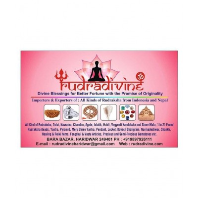 Rudra Divine Shri Rahu Yantr Yantram Brass Gold Plated Rahu Yantra