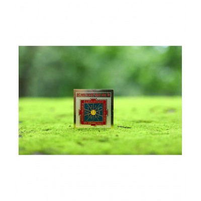 Rudra Divine Shri Shree Gayatri Bisa Yantra Yantra for Pujan, Blessings, Worship