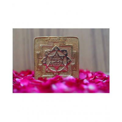 Rudra Divine Siddh Ashtadhatu Shri Laxmi Yantra