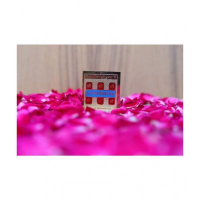 Rudra Divine Sri Vashikaran Yantra Brass