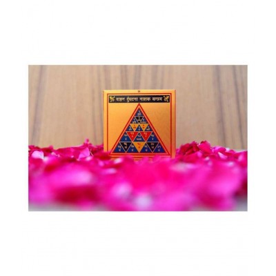 Rudra Divine Vahan Durghatna Nashak Wallet/Pocket Yantra for Protection from Accidental Injuries | Maruti Hanuman Protection Yantra