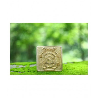 Rudra Divine sidh ashtdhatu Baglamukhi Maha Puja Yantra for home temple \ for office \ for shop