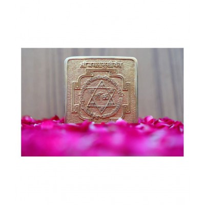 Rudra Divine sidh ashtdhatu Baglamukhi Maha Puja Yantra for home temple \ for office \ for shop