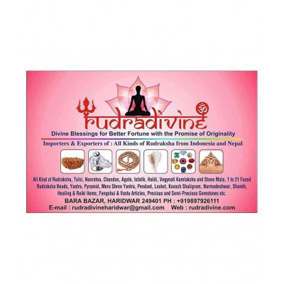 Rudradivine Ashtagandha Kesar Chandan Puja Tika for Laddu Gopal Ji Granules from Mathura -Red Sandalwood Tikka with Fragrance for Pooja, Religious Use, Holi, Lord Krishna 2 Unit Of 40 Gram