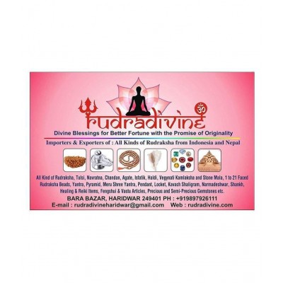 Rudradivine Natural 6 Mukhi Nepali Rudraksha 6 Face Nepali Rudraksha Bead Six Mukhi Rudraksha with Lab Certified