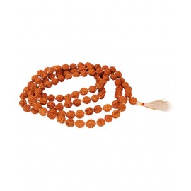 Rudraksha Mala in Thread - 108+1 Beads