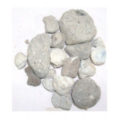 SAFAL37 BANSLOCHAN / BAMBUSA / VANSLOCHAN Raw Herbs 100 gm Pack Of 1