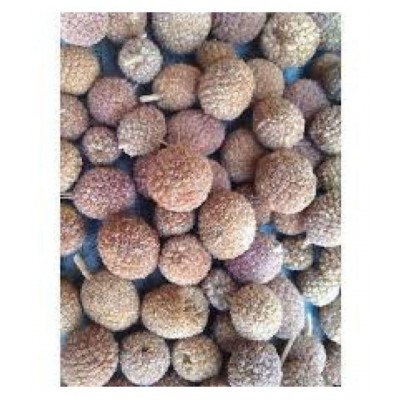 SAFAL41 GORAKHMUNDI / MUNDI / गोरखमुंडी Raw Herbs 100 gm Pack Of 1