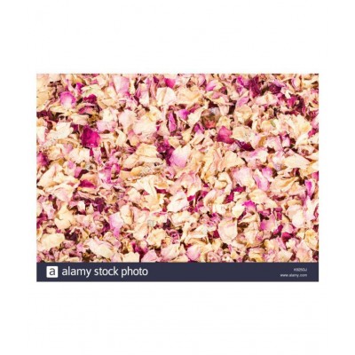 SAFAL42 GULAB PATTI / ROSE PETALS / गुलाब पत्ती Raw Herbs 100 gm Pack Of 1
