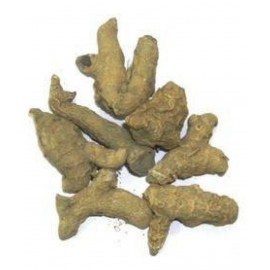 SAFAL53 NALKACHUR / KARCHURA / JANGALI HALDI Raw Herbs 100 gm Pack Of 1