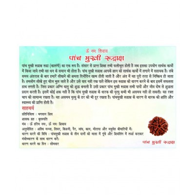 SAUBHAGYA GLOBAL FIVE MUKHI SIDDHA RUDRAKSH LABCERTIFIED FROM NEPAL 5 Face Rudraksha