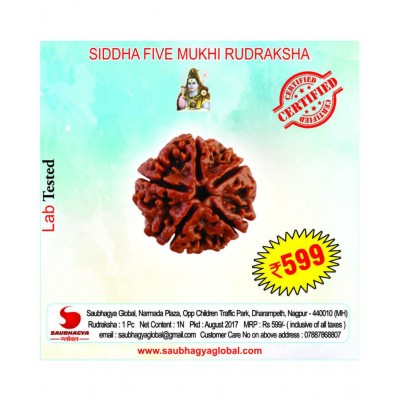 SAUBHAGYA GLOBAL FIVE MUKHI SIDDHA RUDRAKSH LABCERTIFIED FROM NEPAL 5 Face Rudraksha