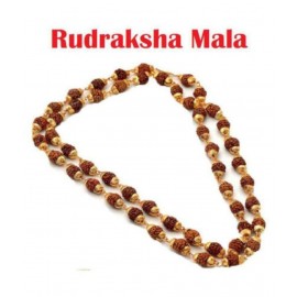 SHINE BEST QUALITY Rudraksha Pack of 1