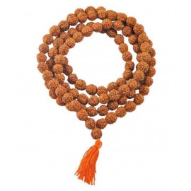 SHINE BEST QUALITY Rudraksha Pack of 1