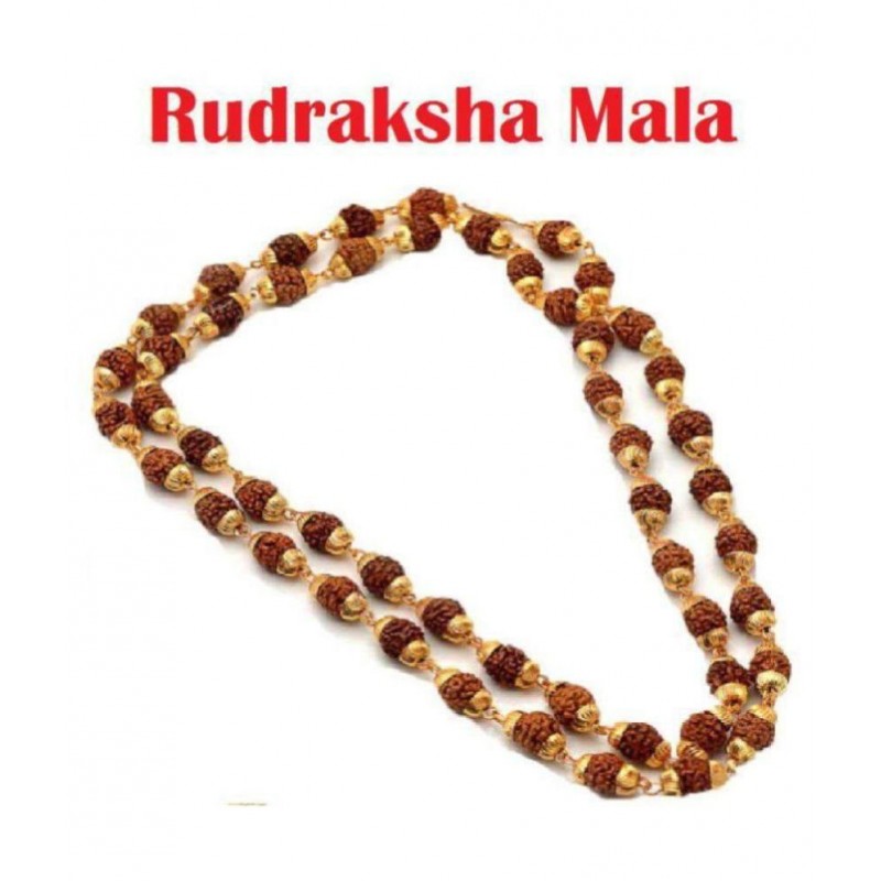 SHINE BEST QUALITY Rudraksha Pack of 1