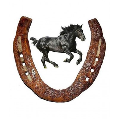 SHREE EXIM Iron Horse Shoe Ring