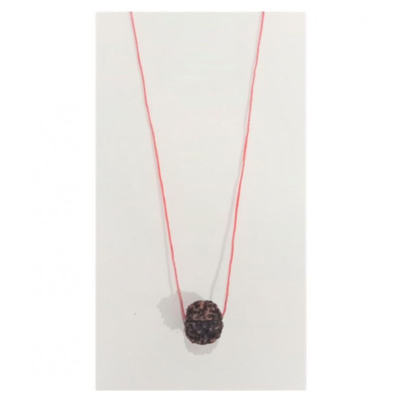 SIX MUKHI RUDRAKSHA MALA-6 FACE-CHEH MUKHI RUDRAKSH ORIGINAL