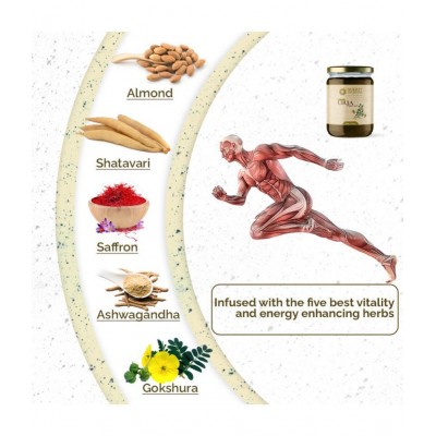 SUKRIT AYURVEDA Urja - Body Strength, Vitality Paste 500 gm Pack Of 1