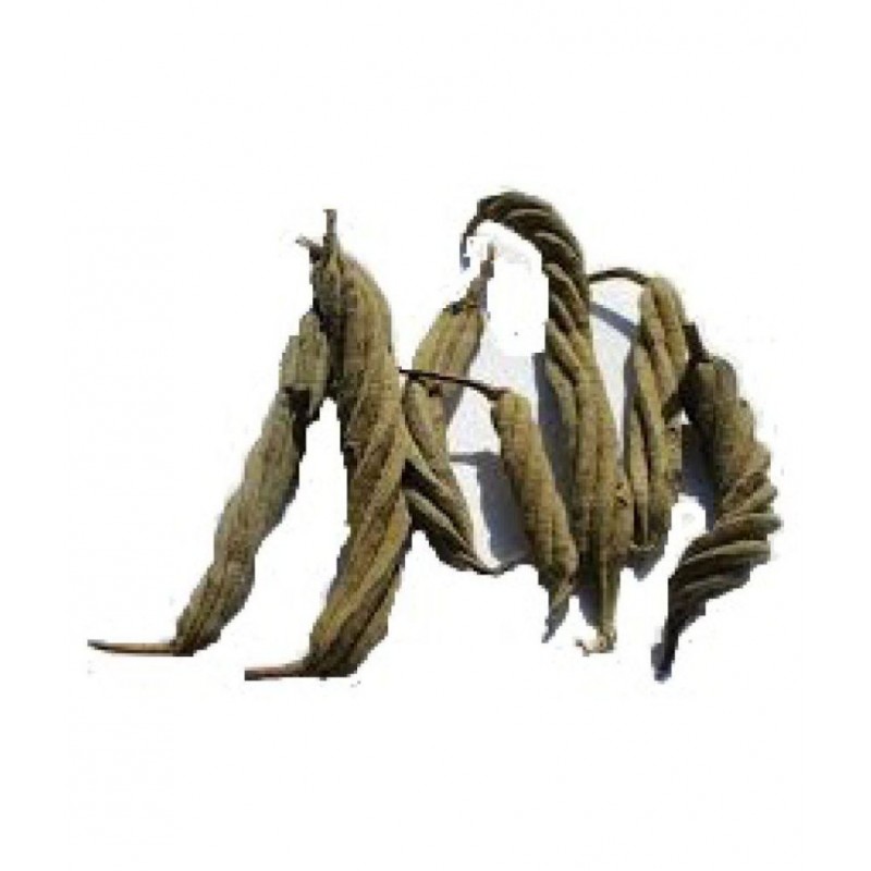 SWASTI1 MURAD PHALLI / MARORPHALI / INDIAN SCREW Raw Herbs 100 gm Pack Of 1