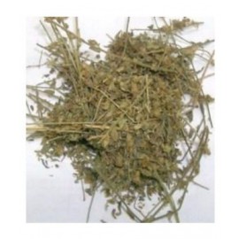 SWASTI34 HARANKHURI / PORPANG / DODAK. Raw Herbs 100 gm Pack Of 1 SWASTI34 HARANKHURI / PORPANG / DODAK. Raw Herbs 100 gm Pack Of 1