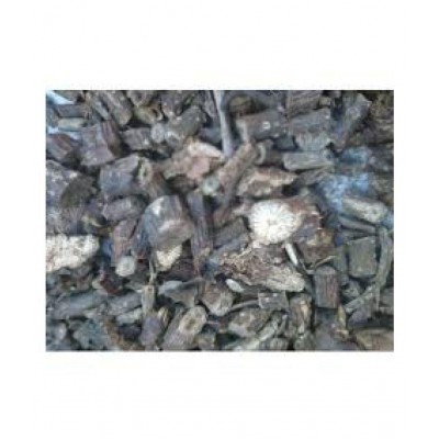 SWASTI43 GILOY / GUDUCHI / AMRTA / गुडूची Powder 100 gm Pack Of 1