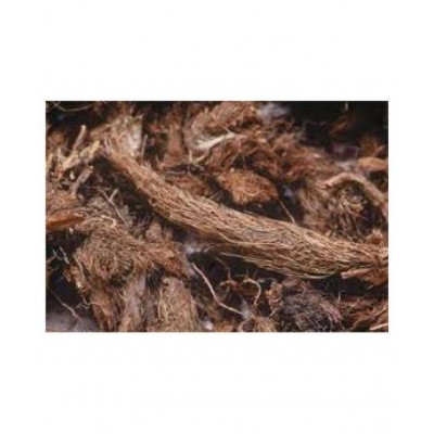 SWASTI48 JATAMANSI / BHUTAJATA / SAMBUL LATEEB Paste 100 gm Pack Of 1