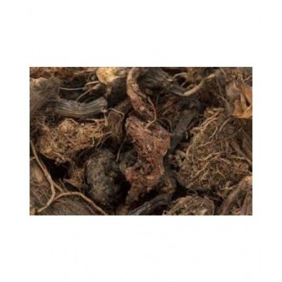 SWASTI48 JATAMANSI / BHUTAJATA / SAMBUL LATEEB Paste 100 gm Pack Of 1