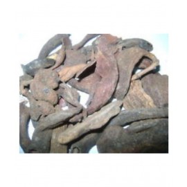 SWASTI49 KAKAR SINGI / KAKRAN / CHAKRANGI Raw Herbs 100 gm Pack Of 1 SWASTI49 KAKAR SINGI / KAKRAN / CHAKRANGI Raw Herbs 100 gm Pack Of 1