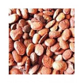 SWASTI50 KARANJI / BALA SEEDS / KANJI / BIANSU Raw Herbs 200 gm Pack Of 1 SWASTI50 KARANJI / BALA SEEDS / KANJI / BIANSU Raw Herbs 200 gm Pack Of 1