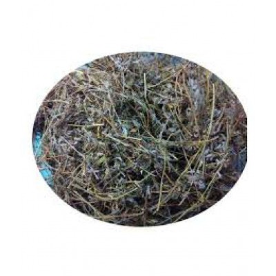 SWASTI53 SHANKHAPUSHPI / APARAJITA / GOKURNA Paste 100 gm Pack Of 1