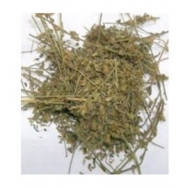 SWASTI53 SHANKHAPUSHPI / APARAJITA / GOKURNA Paste 100 gm Pack Of 1 SWASTI53 SHANKHAPUSHPI / APARAJITA / GOKURNA Paste 100 gm Pack Of 1