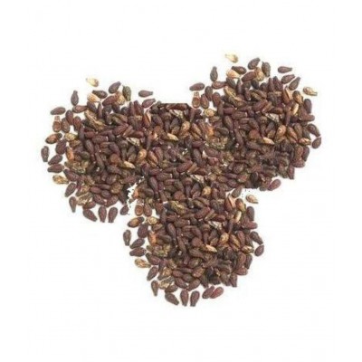 SWASTI54 SHIVLINGI BEEJ / BAHUPATRA / CHANDRA Raw Herbs 50 gm Pack Of 1