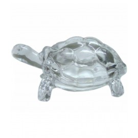 Shobhit Ventures Crystal Tortoise