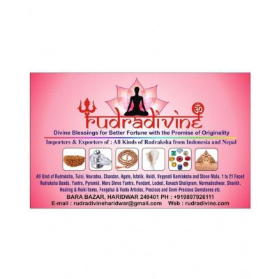 Shree Kuber Yantra 24k Gold Plated High Quality Yantra / Shree Shri Sri kuber kubair Yantra yantar yantr / For Worship in / put at your Worship place or in Temple/ For Gain wealth, Money and fame in life 25 X 25 cm RUDRA DIVINE