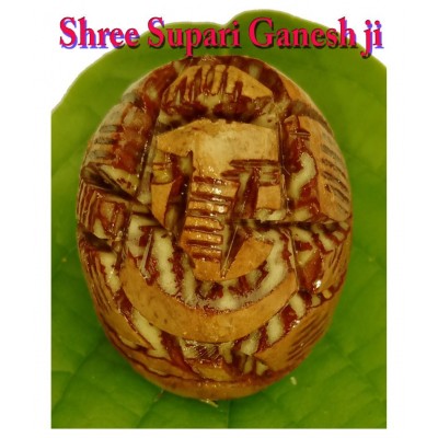 Shree Supari Ganesh/Betel nut ganesha ji .Shree Ganesha  god idol.very beautiful statue made of betel nut