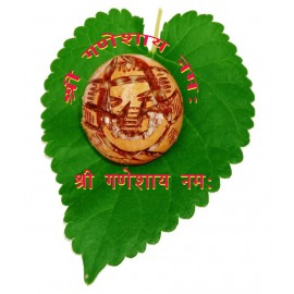 Shree Supari Ganesh/Betel nut ganesha ji .Shree Ganesha  god idol.very beautiful statue made of betel nut