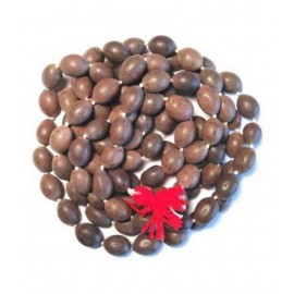 Shri Astha Vinayak  Kamal Gatta Mala 108+1 Beads